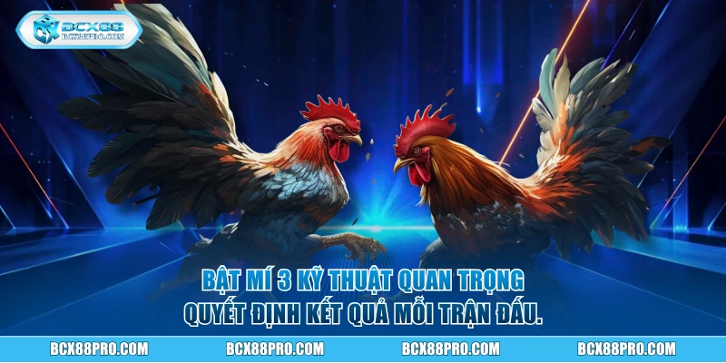 3 kỹ thuật quan trọng quyết định kết quả mỗi trận đấu