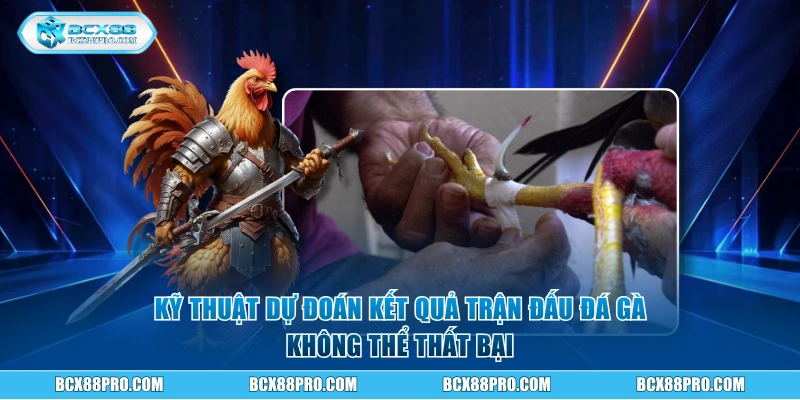Kỹ thuật dự đoán kết quả trận đấu không thể thất bại