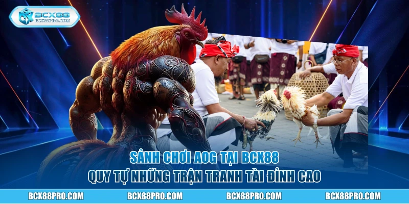Sảnh chơi AOG quy tự những trận tranh tài đỉnh cao